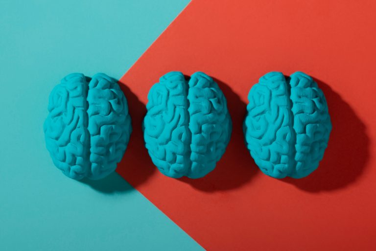 Gut-brain axis: πώς το έντερο επηρεάζει τον εγκέφαλο