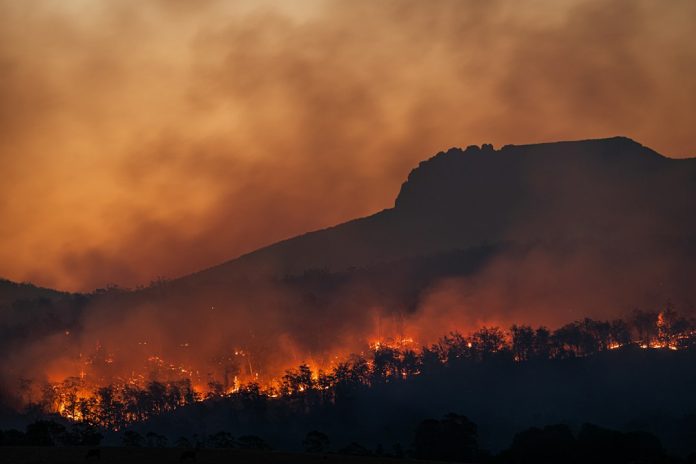 Καπνός και φλόγες από δασική πυρκαγιά σε ορεινή περιοχή